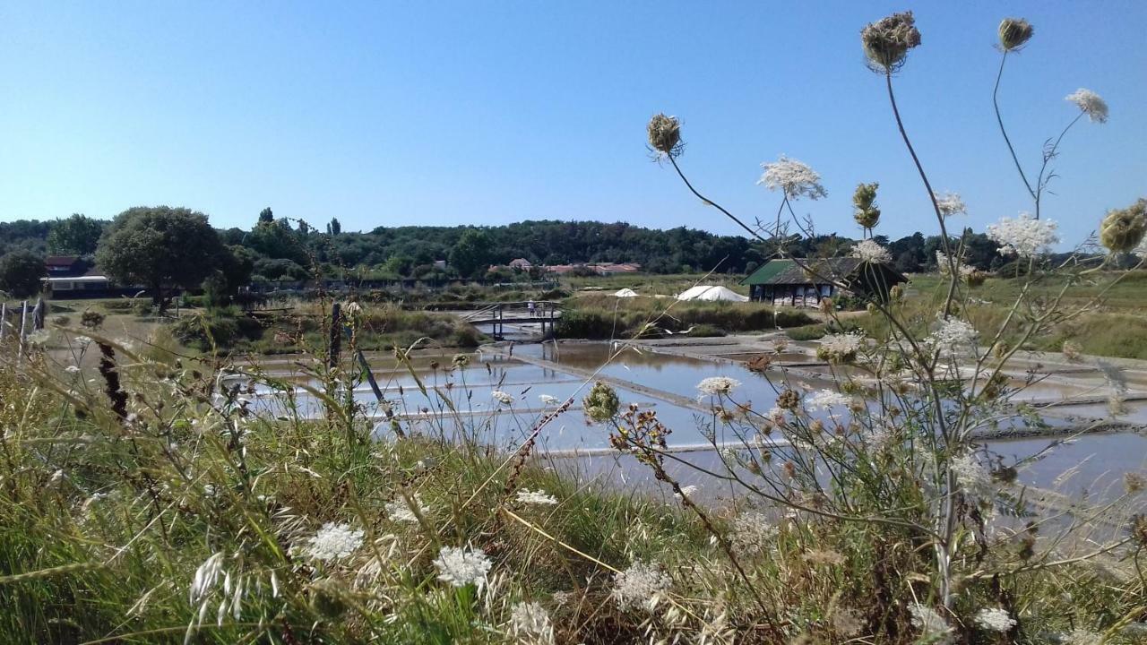 La Chaumette Daire Les Sables-dʼOlonne Dış mekan fotoğraf
